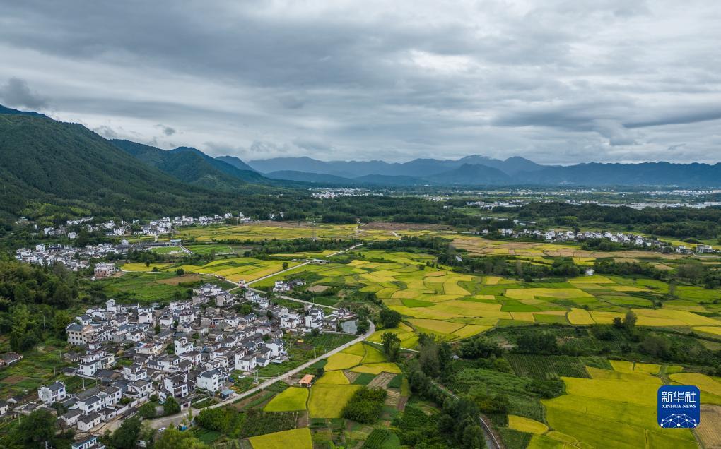 新澳门六彩开奖网站
